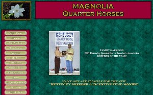 Magnolia Quarter Horses