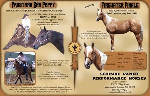 Barrel Horse News & Today's Horse 2007